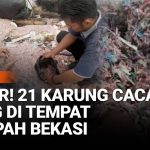 Terungkap Asal-Usul Cacahan Uang Yang Viral Di TPS Liar Bekasi