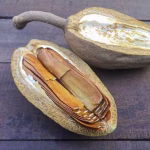 Pohon Kayu Mahoni Hadirkan Keajaiban Alam Yang Berharga