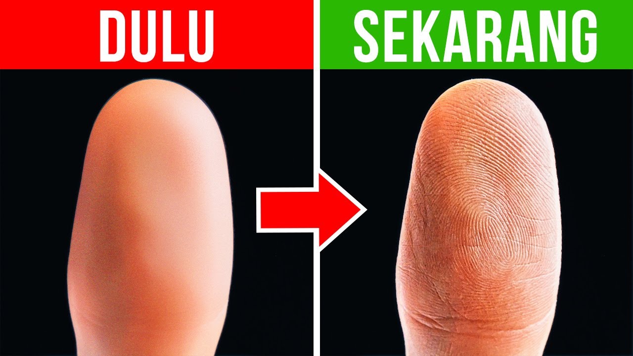 Mengenal Pola Sidik