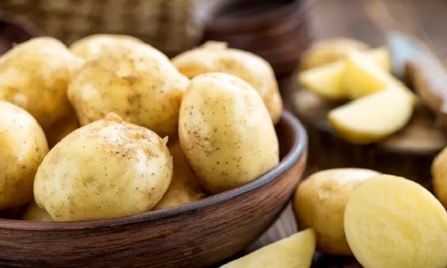 Makanan Sering Disalah Pahami Dan Fakta Nutrisinya Tidak Baik