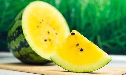 Khasiat Semangka Kuning, Buah Segar Untuk Kesehatan Mata