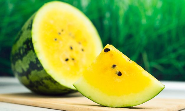 Khasiat Semangka Kuning, Buah Segar Untuk Kesehatan Mata