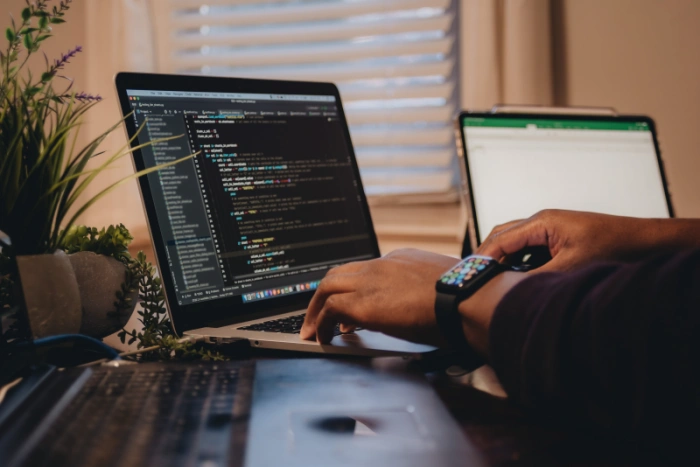 Bisnis Pengembangan Web, Skill Apa Yang Dibutuhkan?